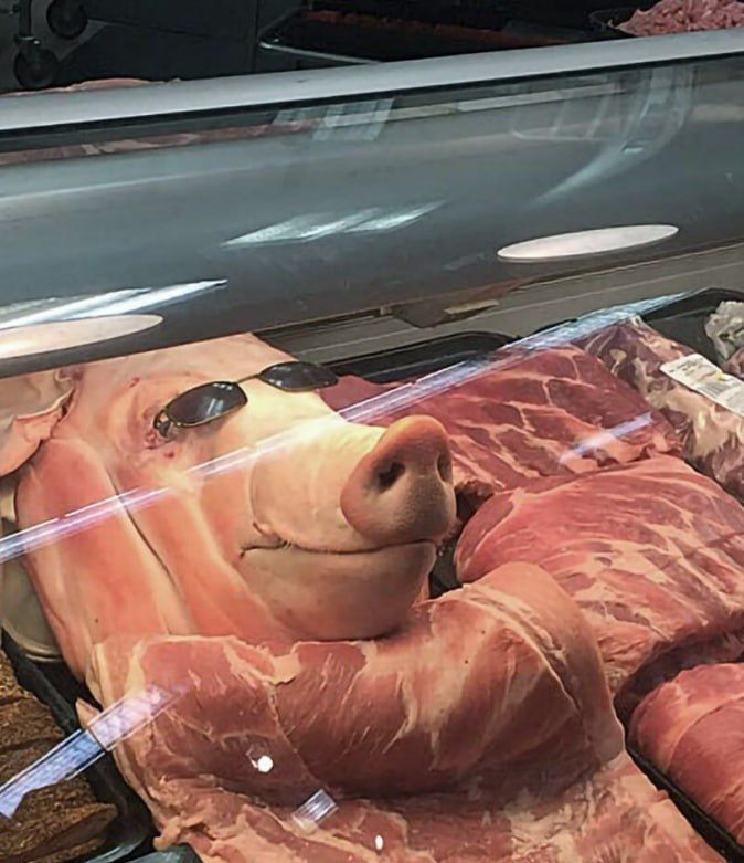 Свинная голова в очках лежит в витрине с мясом.