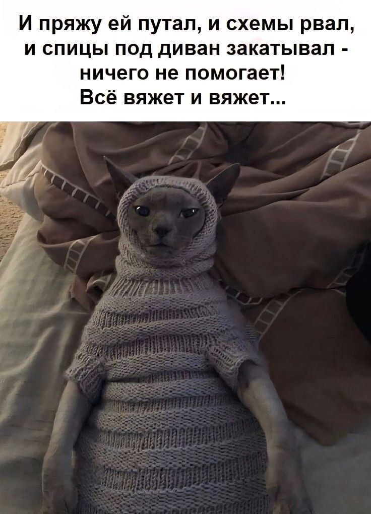 И пряжу ей путал, и схемы рвал, и спицы под диван закатывал - ничего не помогает! Всё вяжет и вяжет...