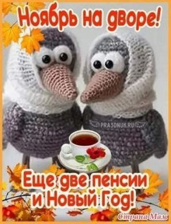 Ноябрь на дворе! Еще две пенсии и Новый Год!