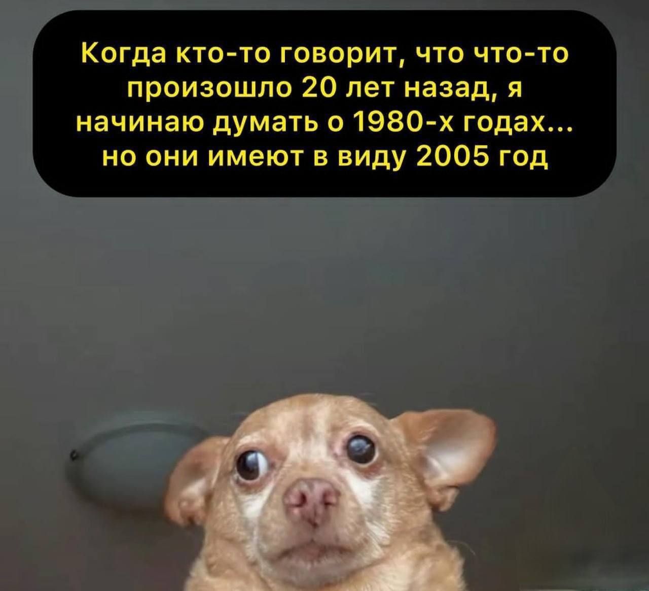 Когда кто-то говорит, что что-то произошло 20 лет назад, я начинаю думать о 1980-ых годах... но они имеют в виду 2005 год