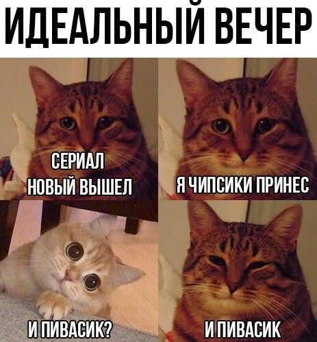 ИДЕАЛЬНЫЙ ВЕЧЕР
СЕРИАЛ НОВЫЙ ВЫШЕЛ
Я ЧИПСКИ ПРИНЕС
И ПИВАСИК?
И ПИВАСИК