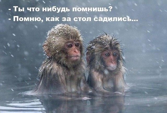 - Ты что нибудь помнишь?
- Помню, как за стол садились...