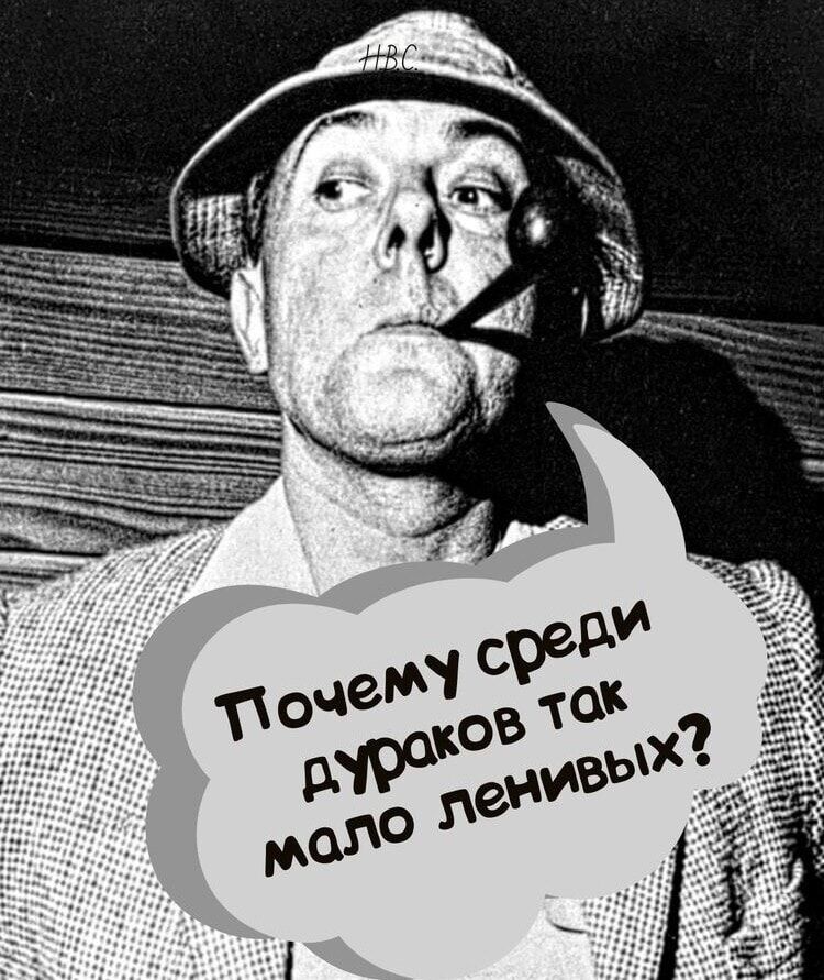 Почему среди дураков так мало ленивых?