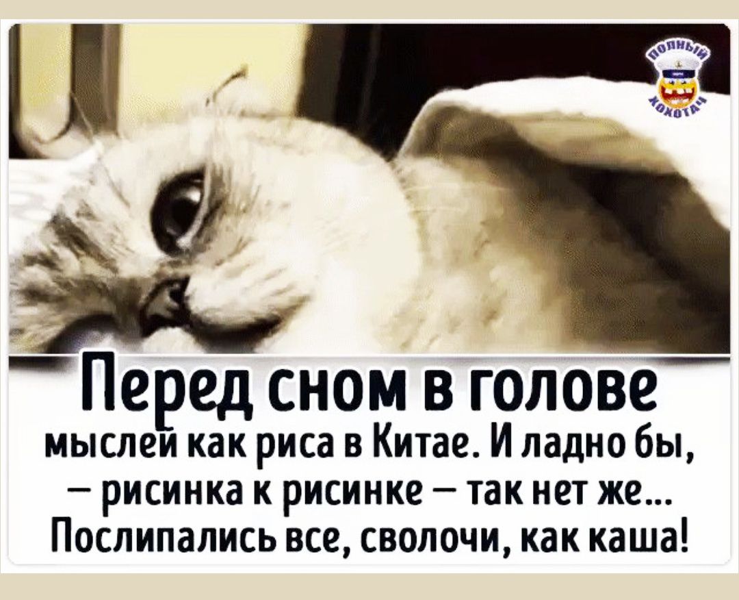 Перед сном в голове мысли как риса в Китае. И ладно бы, — рисинка к рисинке — так нет же... Послипались все, сволочи, как каша!
