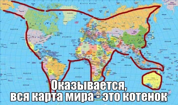 Оказывается, вся карта мира — это котёнок