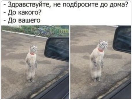 - Здравствуйте, не подбросите до дома? - До какого? - До вашего