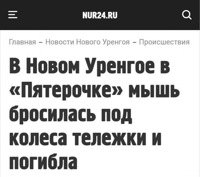 В Новом Уренгое в «Пятерочке» мышь бросилась под колеса тележки и погибла