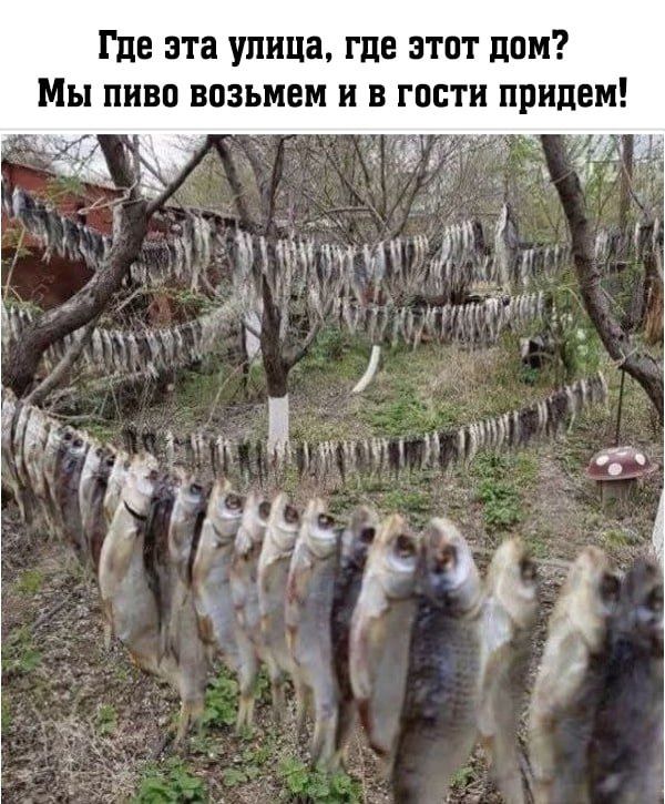Где эта улица, где этот дом? Мы пиво возьмем и в гости придем!