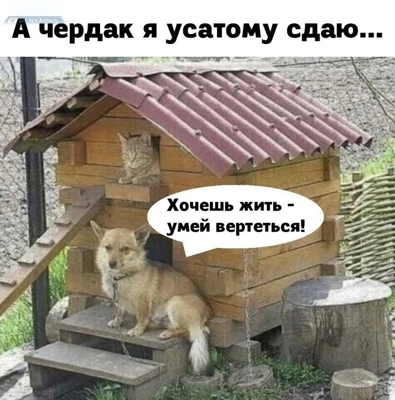 А чердак я устатому сдаю...
Хочешь жить - умей вертеться!