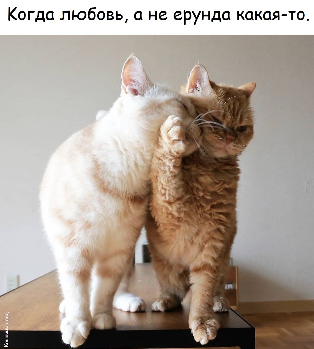 Когда любовь, а не ерунда какая-то.