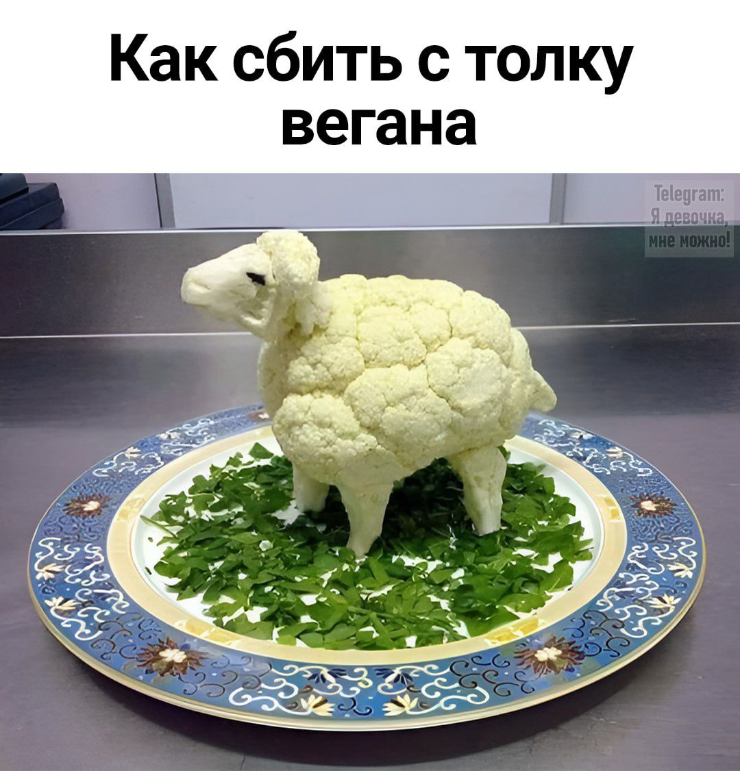 Как сбить с толку вегана