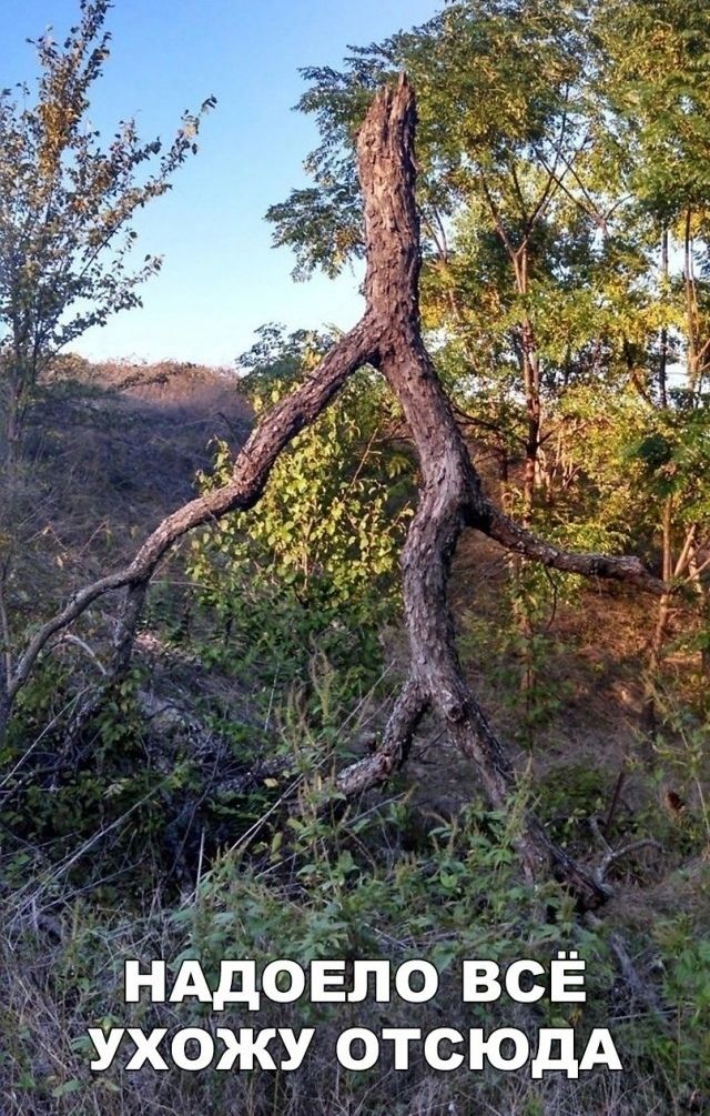 НАДОЕЛО ВСЁ УХОЖУ ОТСЮДА