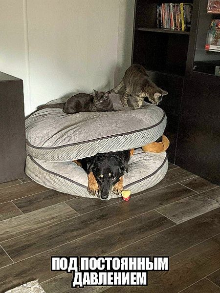 под постоянным давлением