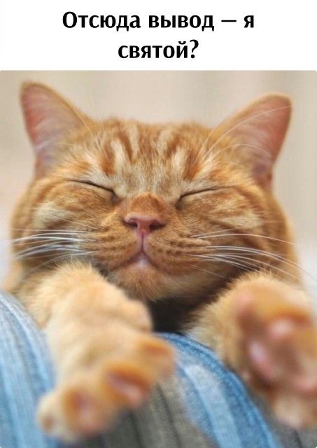 Отсюда вывод — я святой?