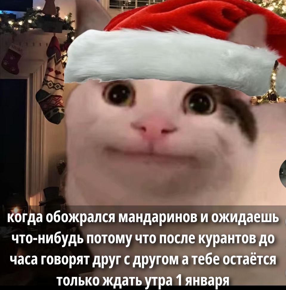 когда обожрался мандаринов и ожидаешь что-нибудь потому что после курантов до часа говорят друг с другом а тебе остаётся только ждать утра 1 января