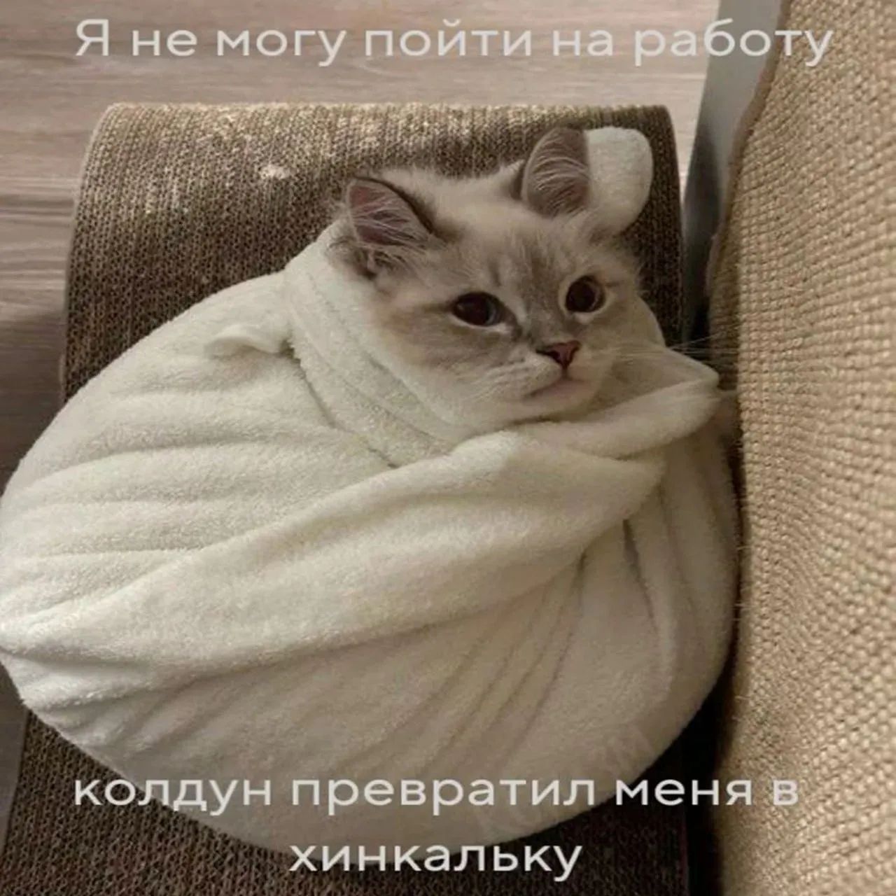 Я не могу пойти на работу
колдун превратил меня в хинкалку