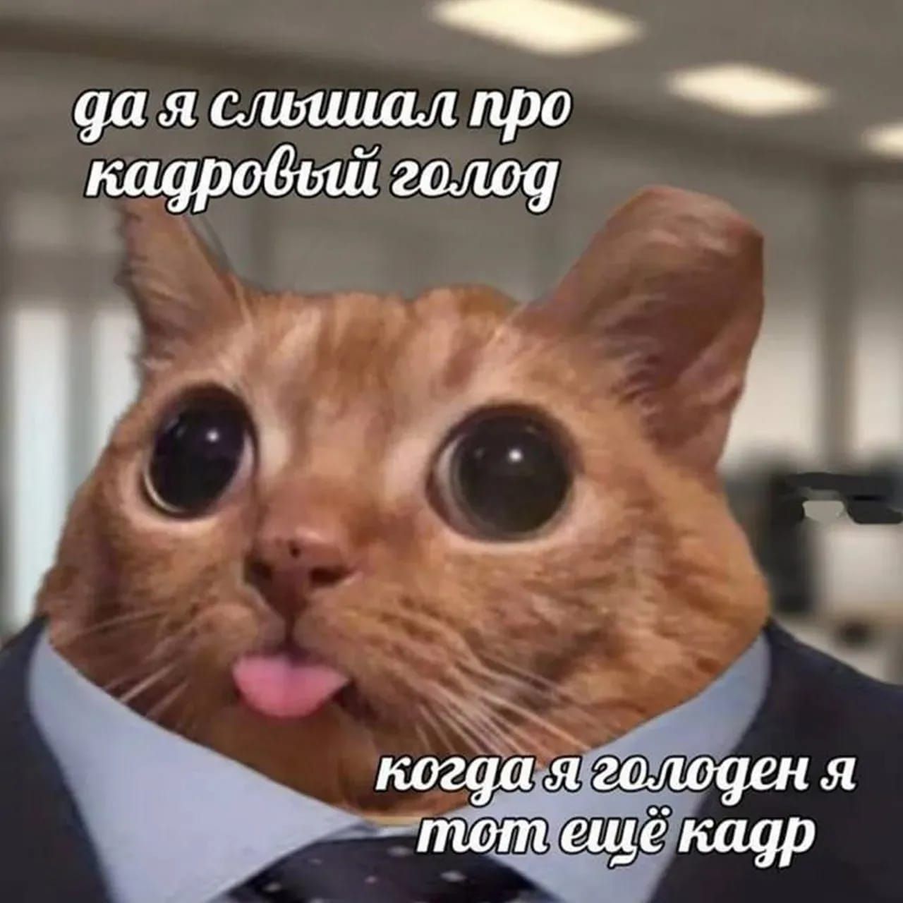 да я слышал про кадровый голод
когда я голоден я тот ещё кадр