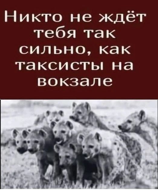 Никто не ждёт тебя так сильно, как таксисты на вокзале