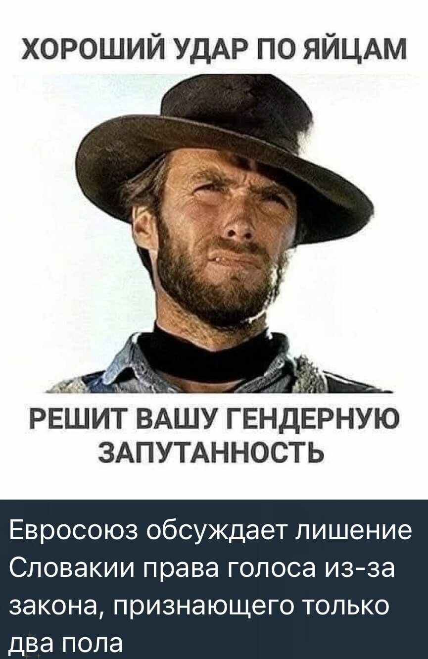 ХОРОШИЙ УДАР ПО ЯЙЦАМ\nРЕШИТ ВАШУ ГЕНДЕРНУЮ ЗАПУТАННОСТЬ\nЕвросоюз обсуждает лишение Словакии права голоса из-за закона, признающего только два пола
