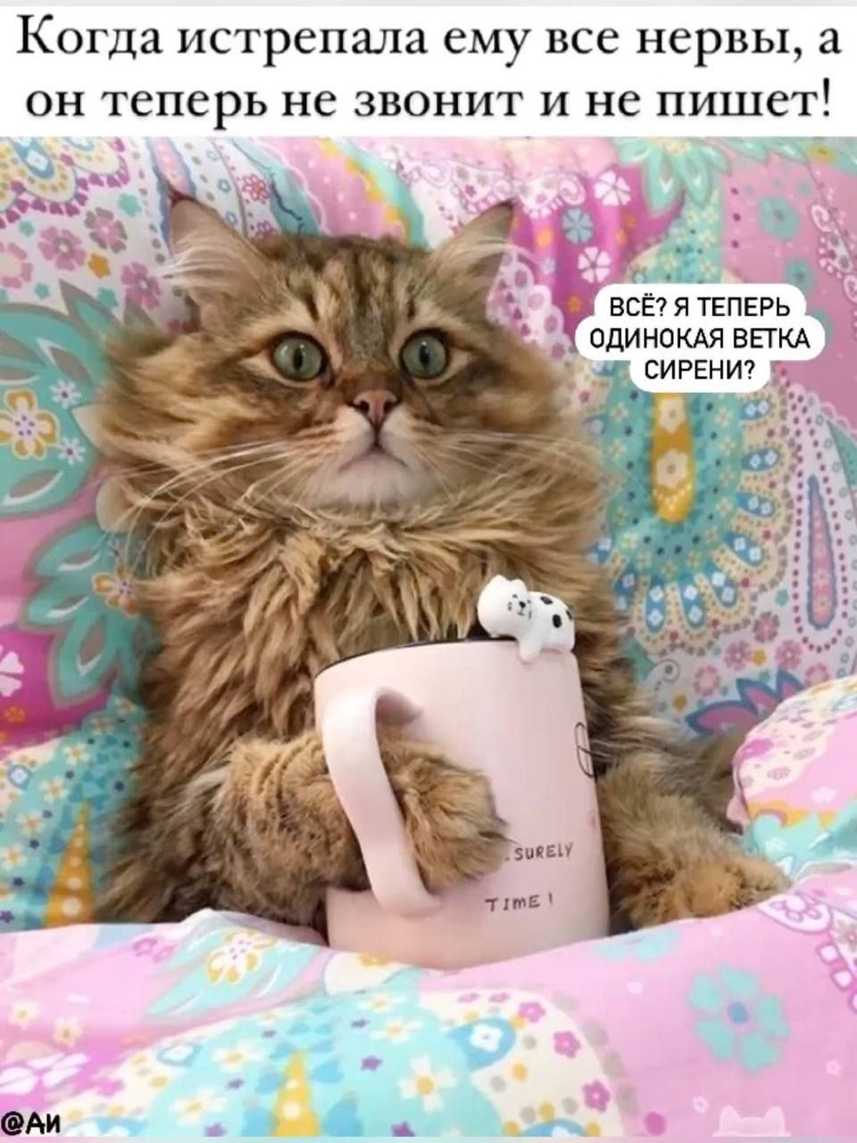 Когда истерпала ему все нервы, а он теперь не звонит и не пишет!\nВсё? Я теперь одинокая ветка сирени?