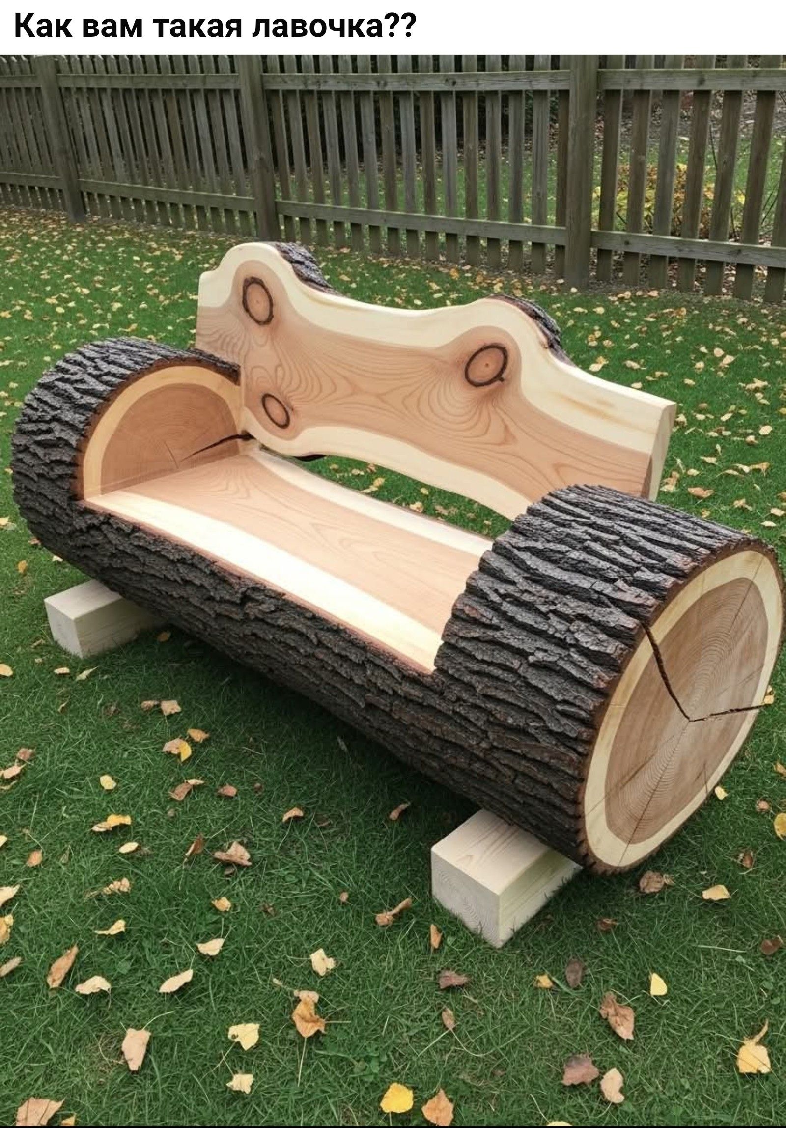Как вам такая лавочка??