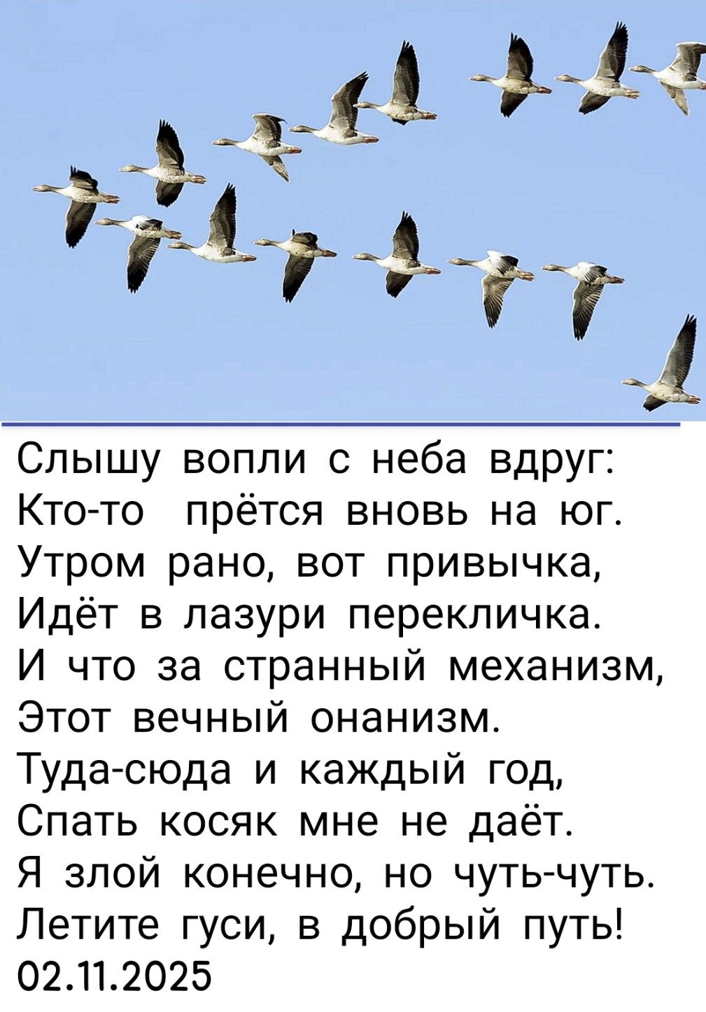 Слышу вопли с неба вдруг:\nКто-то прётся вновь на юг.\nУтром рано, вот привычка,\nИдёт в лазури перекличка.\nИ что за странный механизм,\nЭтот вечный онанизм.\nТуда-сюда и каждый год,\nСпать косяк мне не даёт.\nЯ злой конечно, но чуть-чуть.\nЛетите гуси, в добрый путь!\n02.11.2025