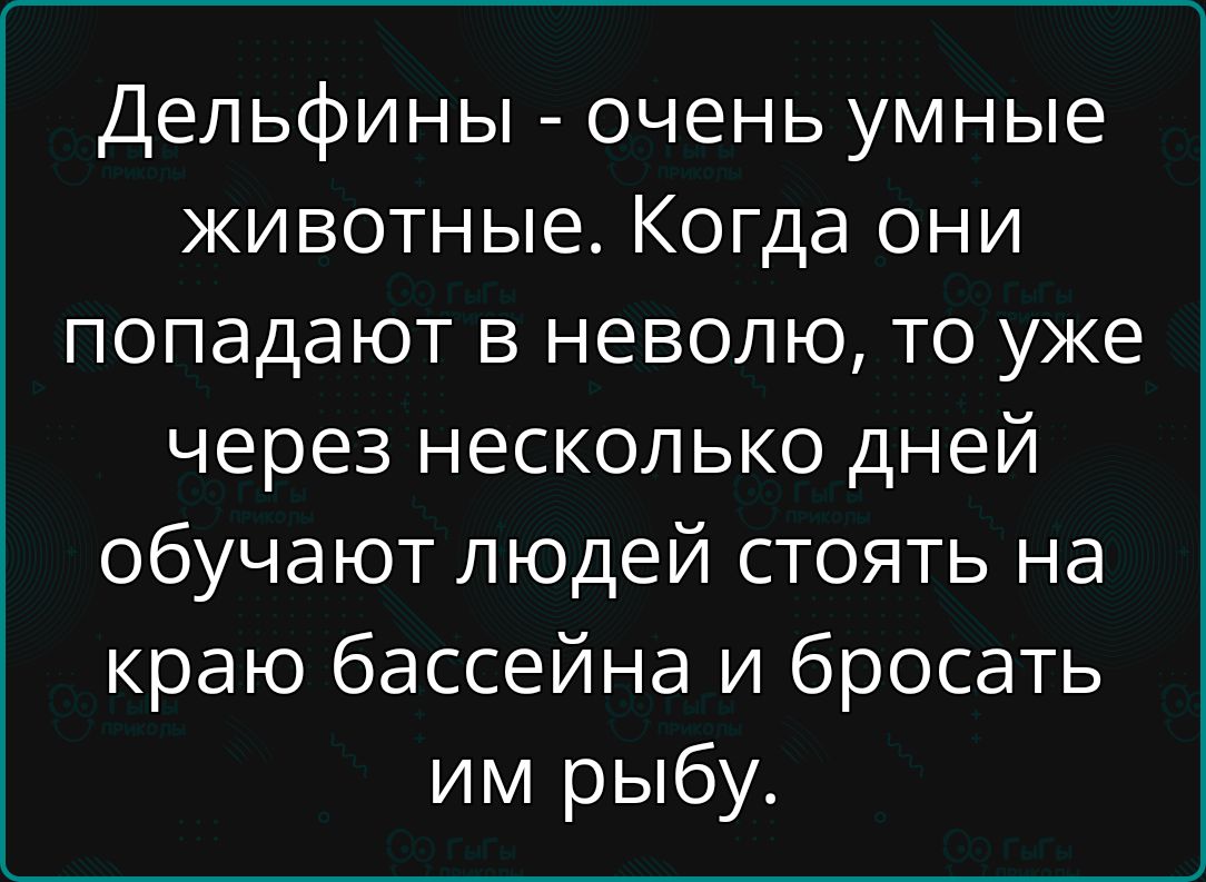 Дельфины - очень умные животные. Когда они попадают в неволю, то уже через несколько дней обучают людей стоять на краю бассейна и бросать им рыбу.