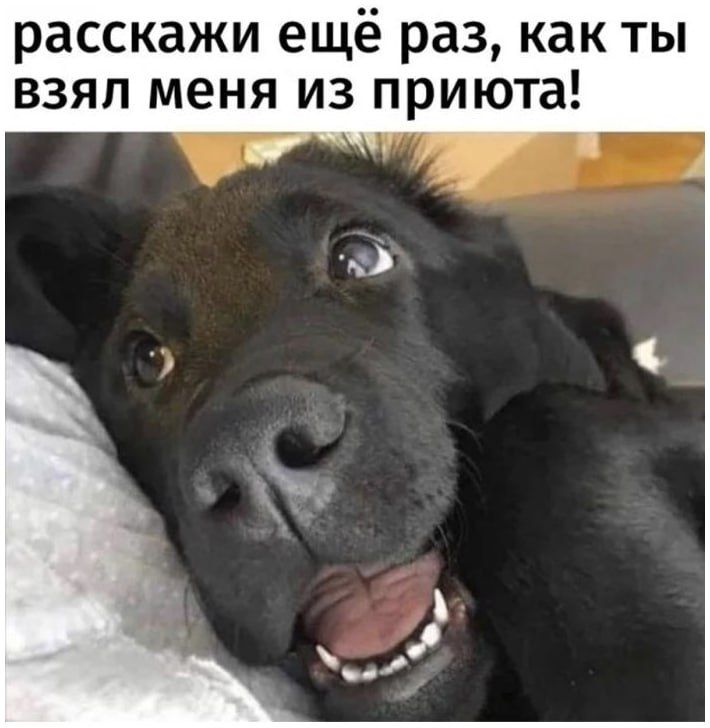расскажи ещё раз, как ты взял меня из приюта!
