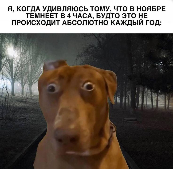 Я, КОГДА УДИВЛЯЮСЬ ТОМУ, ЧТО В НОЯБРЕ ТЕМНЕЕТ В 4 ЧАСА, БУДТО ЭТО НЕ ПРОИСХОДИТ АБСОЛЮТНО КАЖДЫЙ ГОД: