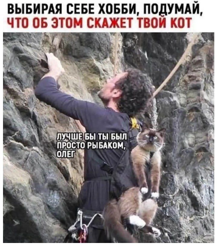 ВЫБИРАЯ СЕБЕ ХОББИ, ПОДУМАЙ, ЧТО ОБ ЭТОМ СКАЖЕТ ТВОЙ КОТ\nЛУЧШЕ БЫ ТЫ БЫЛ ПРОСТО РЫБАКОМ, ОЛЕГ