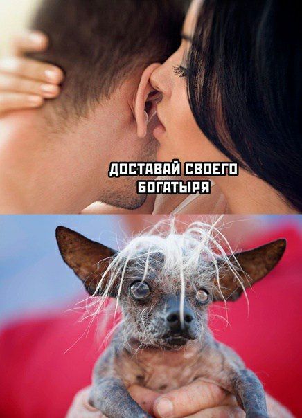 ДОСТАВАЙ СВОЕГО БОГАТЫРЯ