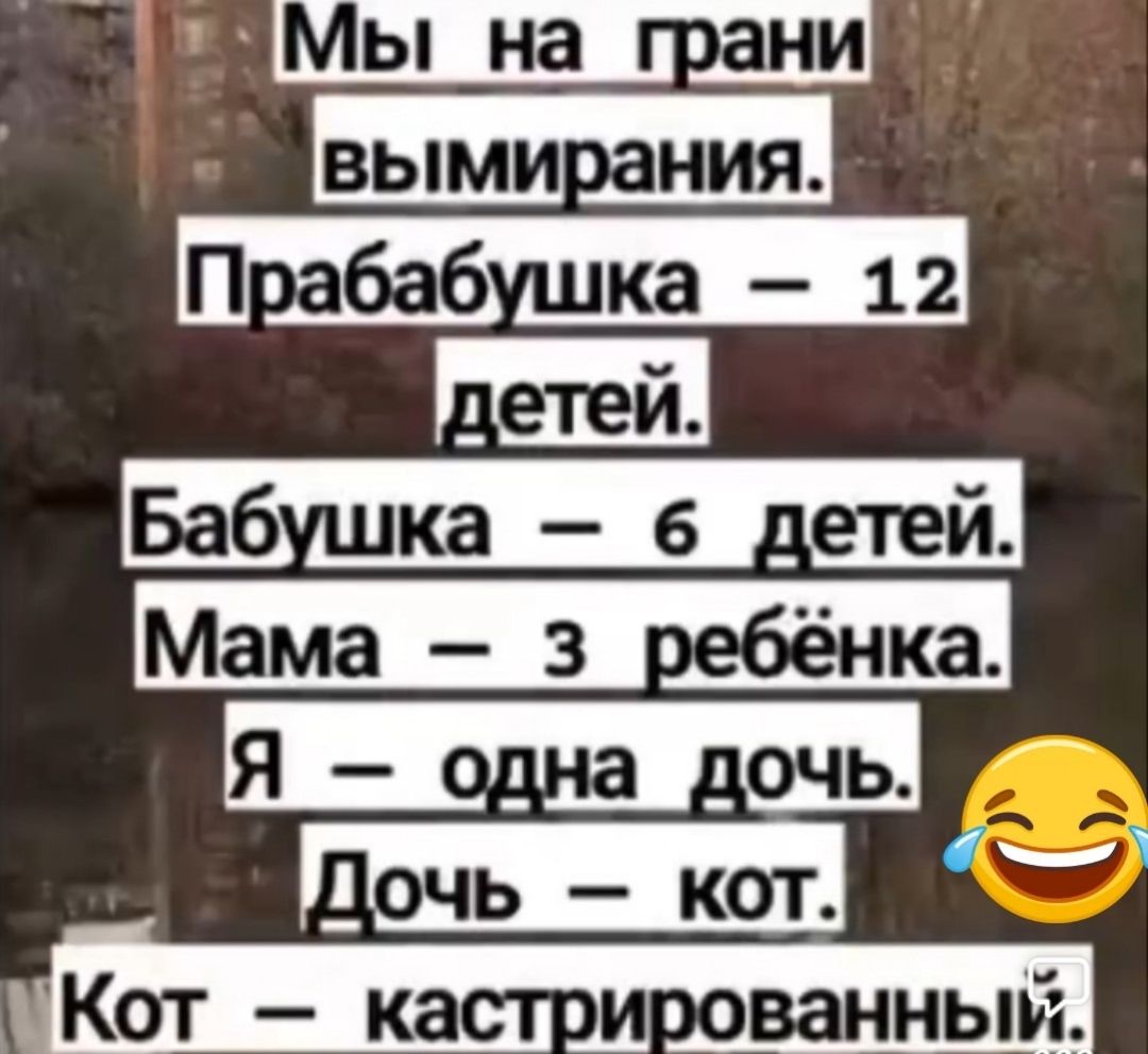 Мы на грани вымирания. Прабабушка — 12 детей. Бабушка — 6 детей. Мама — 3 ребёнка. Я — одна дочь. Дочь — кот. Кот — кастрированный.