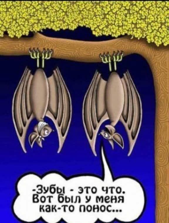 -Зубы - это что. Вот был у меня как-то понос...