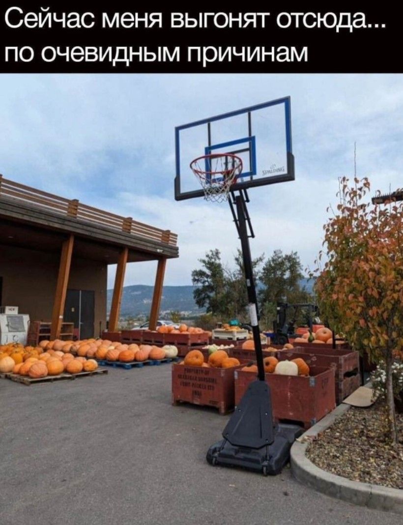 Сейчас меня выгонят отсюда... по очевидным причинам