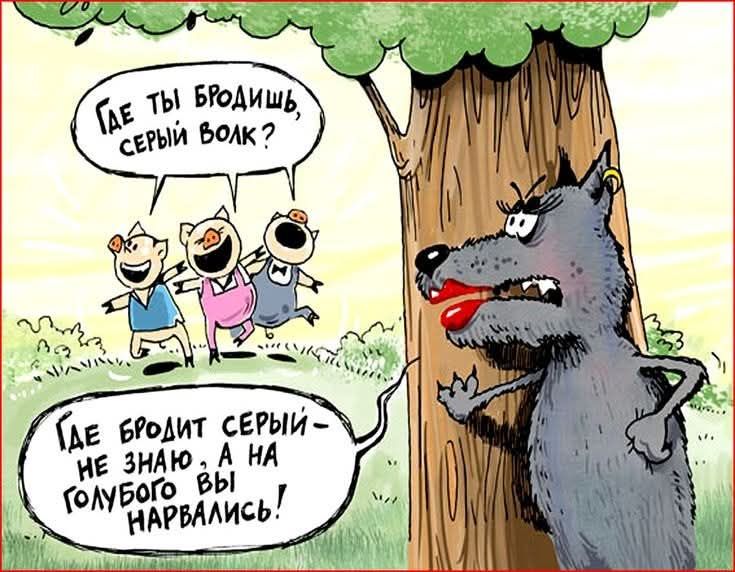 Где ты бродишь, серый волк? Где бродит серый — не знаю, а на кого голубого вы нарвались!