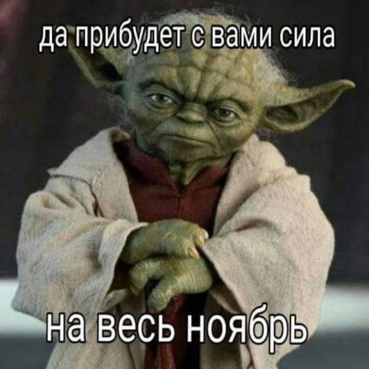 да прибудет с вами сила на весь ноябрь