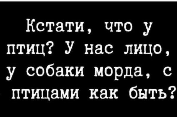 Кстати, что у птиц? У нас лицо, у собаки морда, с птицами как быть?