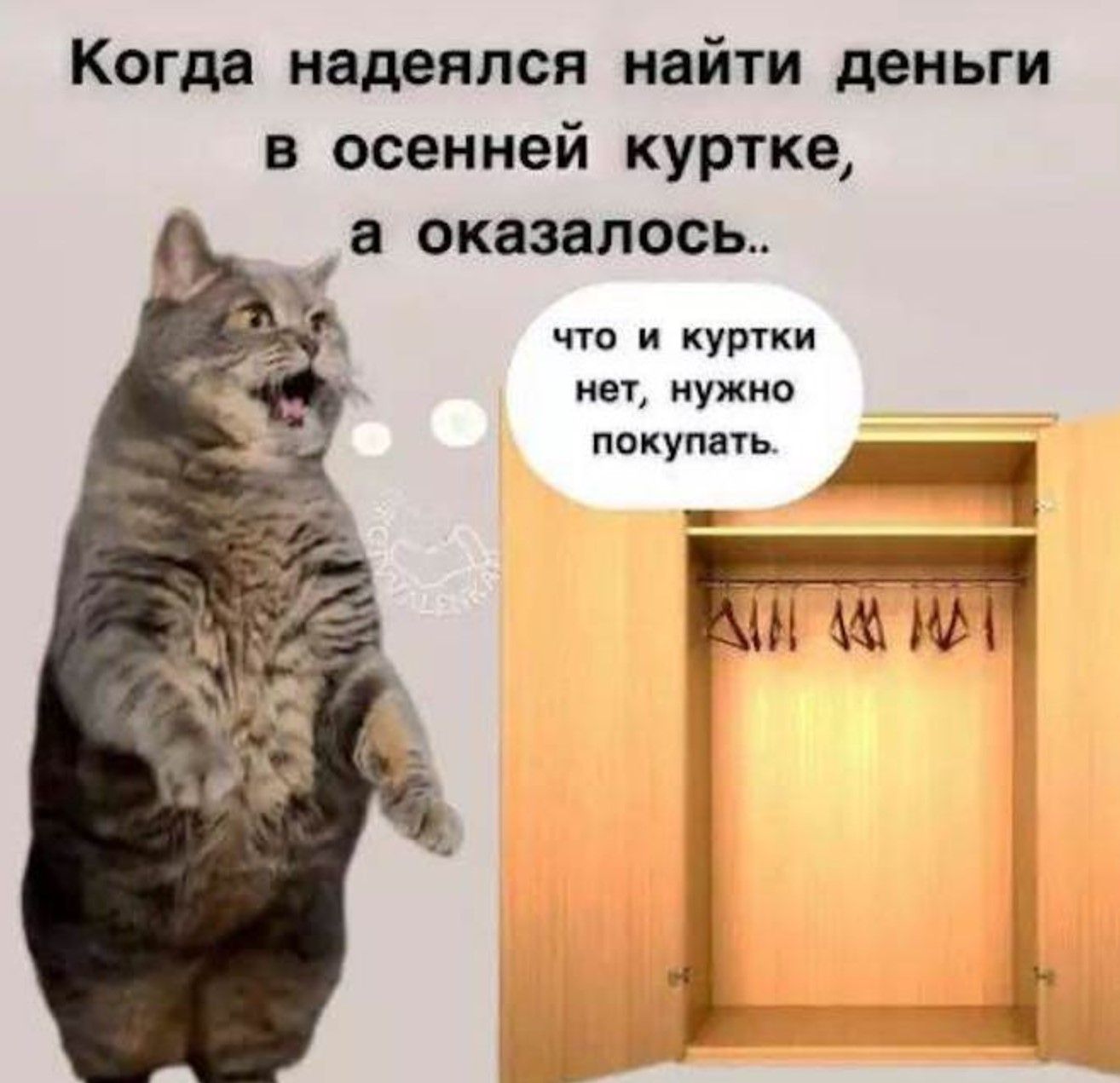 Когда надеялся найти деньги в осенней куртке, а оказалось.. что и куртки нет, нужно покупать.