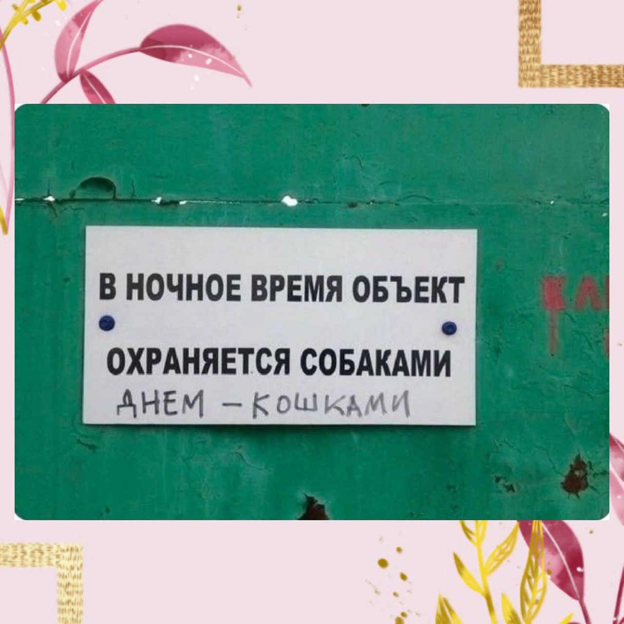 В НОЧНОЕ ВРЕМЯ ОБЪЕКТ ОХРАНЯЕТСЯ СОБАКАМИ ДНЕМ - КОШКАМИ