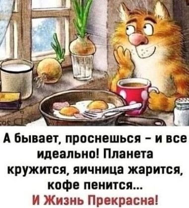 А бывает, проснешься – и всё идеально! Планета кружится, яичница жарится, кофе пенится... И Жизнь Прекрасна!