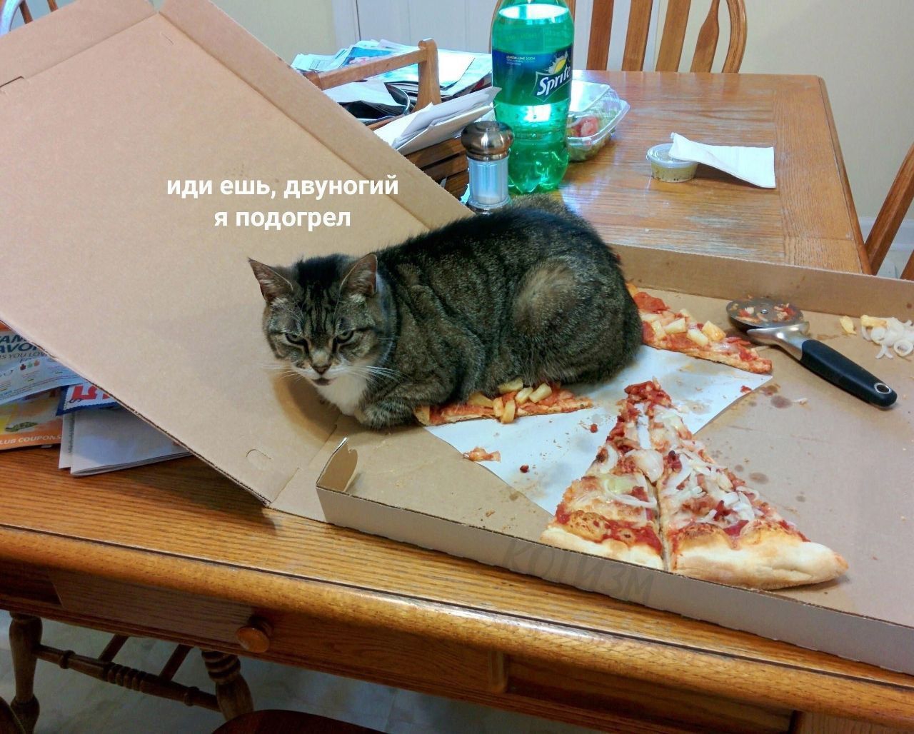 иди еще, двуногий я подогрел