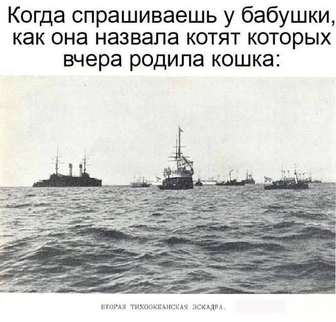 Когда спрашиваешь у бабушки, как она назвала котят которых вчера родила кошка:

ВТОРАЯ ТИХОКЕАНСКАЯ ЭСКАДРА.