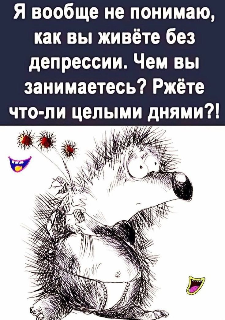Я вообще не понимаю, как вы живёте без депрессии. Чем вы занимаетесь? Ржёте что-ли целыми днями?!