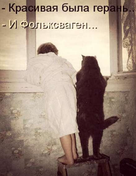 - Красивaя была геран... 
- И Фольк+cваген...