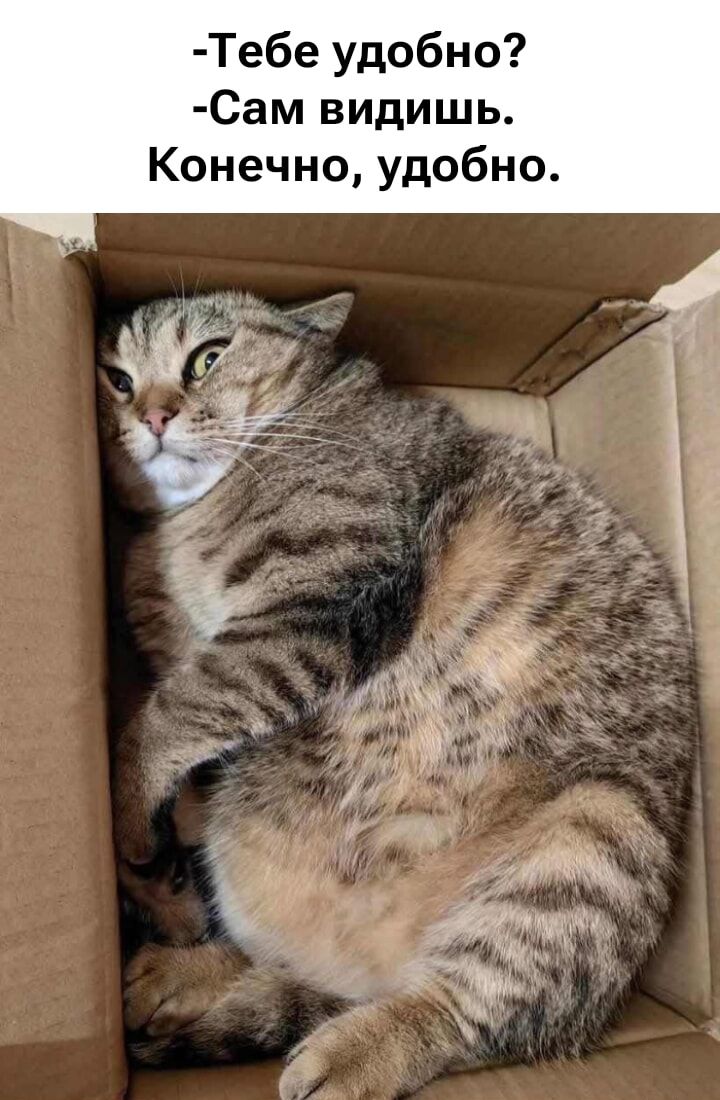 -Тебе удобно?
-Сам видишь.
Конечно, удобно.