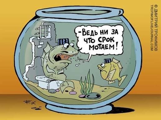 Ведь ни за что срок мотем!