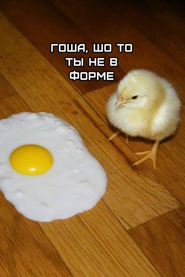ГОША, ШО ТО ТЫ НЕ В ФОРМЕ