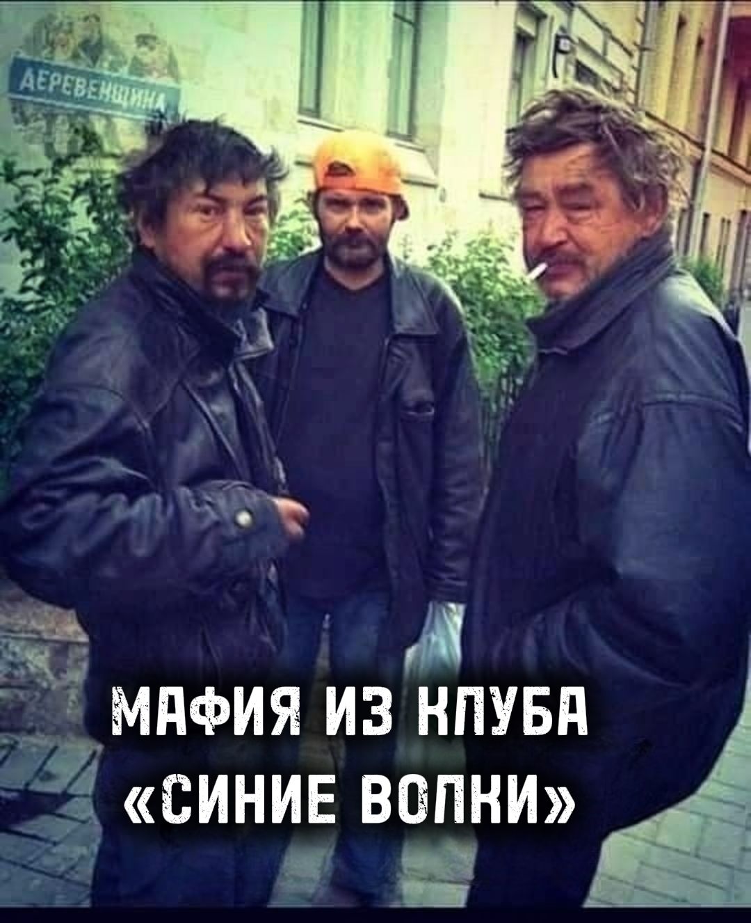 МАФИЯ ИЗ КЛУБА «СИНИЕ ВОЛКИ»
