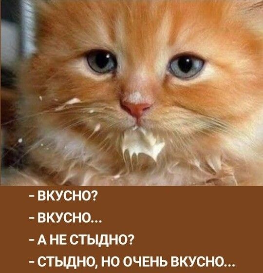 - ВКУСНО?
- ВКУСНО...
- А НЕ СТЫДНО?
- СТЫДНО, НО ОЧЕНЬ ВКУСНО...