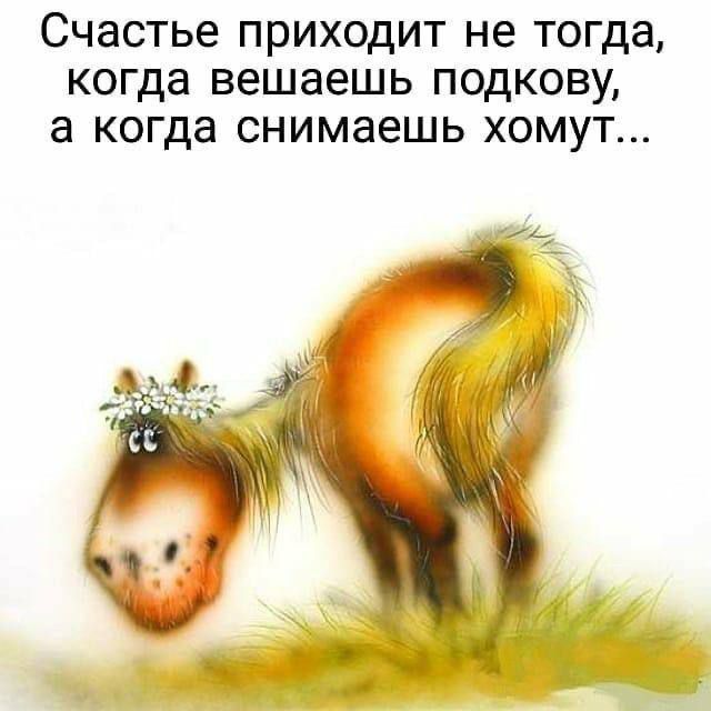Счастье приходит не тогда, когда вешаешь подкову, а когда снимаешь хамут...